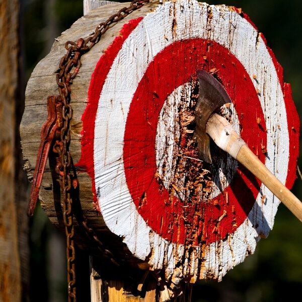 A large double bit axe embedded in an end-grain tree round target